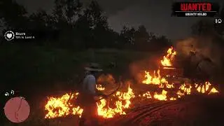 Red Dead Redemption 2 Incredible Fire/Burn mechanics