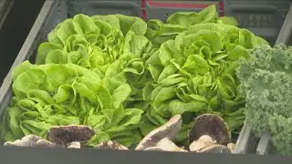 New mobile food market to serve Buffalo neighborhoods