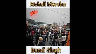 Mohali Morcha//#watsapp_status //#shorts //#sikh //#viral @YouTube @KarandeepSingh103