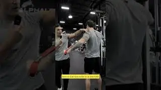 Single Arm Cable Reverse Fly