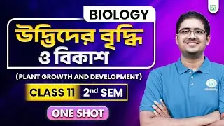 উদ্ভিদের বৃদ্ধি ও বিকাশ - Plant Growth and Development | 2nd Sem, Biology | One Shot | BongMistry