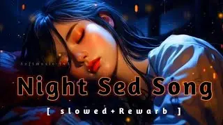 Night Sad Song | Slowed Reverb | lo-fi Mashup Slowed Reverb | breakup song | 