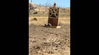 325 wsm vs. 2 liter soda bottle