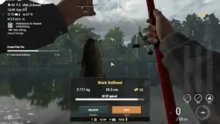 fresh fish Pie - fishing planet