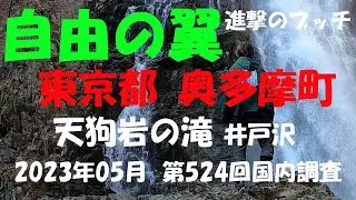 【進撃のブッチ】【天狗岩の滝】【東京都 奥多摩町】【第524回国内調査202305】【1080ｐ60fps】【Japan waterfall]】
