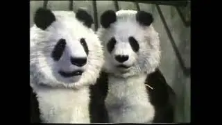 Who Dares Wins - Mating Pandas