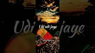 udi udi jaye status | Raees| Maka Sankranti Status |SRK songs #youtube #youtubeshorts #shorts #music