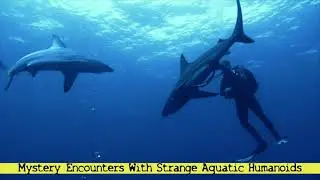 Mystery&nbsp;Encounters with Strange Aquatic Humanoids
