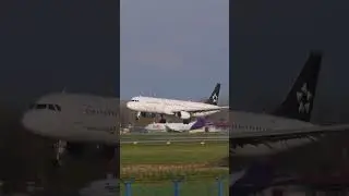 🌍 Turkish Airlines A321 &ndash; TC-JRP in Star Alliance Livery! ✈️ #Shorts