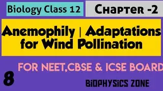 Anemophily | Adaptations for wind pollination | Biology | Class 12 | Chapter 2