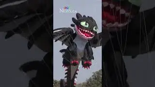 World&rsquo;s most expensive kites featured at Lucknow's kite festival