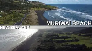 Muriwai Beach | Drone Video | 4K | West Coast of the Auckland | North Island | New Zealand