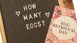 EGG RETRIEVAL DAY!!! IVF- LESBIAN TTC JOURNEY- UK