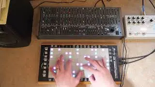 Deckards Dream and Linnstrument with Hologram Microcosm Pads