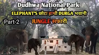 India Ka Sabse Untouched Jungle? | Dudhwa Tiger Reserve Safari
