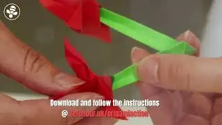 Red Helleborine Orchid &ndash; Origami Action for Nature with Tina Luo & The Co-operative Bank