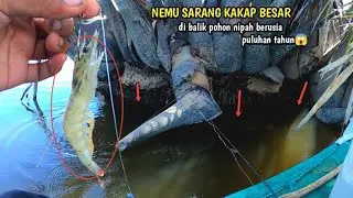 Dugaan ku benar!! sarang kakap besar ada di balik pohon tua ini - mancing kakap