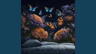 Enchanted Solace