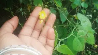 హాయ్ గుడ్ మార్నింగ్ 🙏