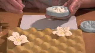 How To Make A Gumpaste Petunia Flower