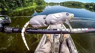 Fishing A Rat Lure On A New Lake!