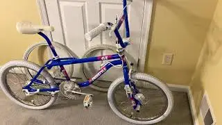 1988 GT Pro Freestyle Tour Team Model
