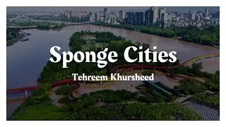 How Sponge Cities Are Shaping the Future of Flood Prevention | CLIMATE CHANGE