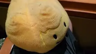 Bfdi plush: Firey Jr Goes to the bfdi and ii 2024 tour