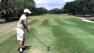 Palm Harbor golf school