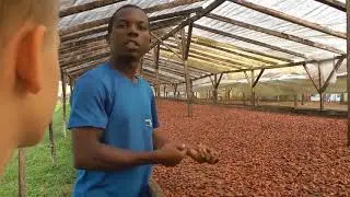 Agua Ize plantation farm