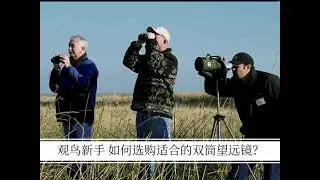观鸟新手如何选购合适的双筒望远镜