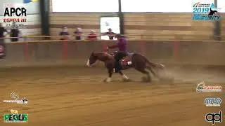 MATURITY IRHA & NRHA APCR RIDE JULY RIDE 2019 - SERGIO NICOLA & REMIN BESS score 147
