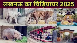 लखनऊ का चिड़ियाघर 2025 | Lucknow Chidiyaghar। लखनऊ चिड़ियाघर । Lucknow Zoo | Lucknow Zoological Park