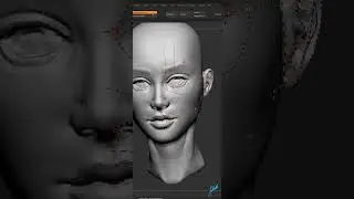 3D Face ZRemesh Guides - Loops and Details