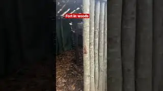 2 man fort build in woods