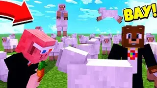 ПРИНЕСИ КАК МОЖНО БОЛЬШЕ ОВЕЧЕК НА БАЗУ! - MINECRAFT (SheepWars)