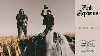 Pure Emeralds - Golden Fields (Official Audio)