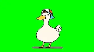 Dancing Shuba Duck green screen