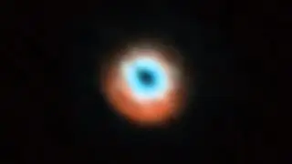 ALMA finds super-Jupiter exoplanets