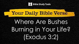 Where Are Bushes Burning in Your Life? (Exodus 3:2)