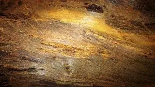High Quality Natural Agarwood - Very Old Dead and Dry Borneo