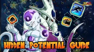 DOKKAN HIDDEN POTENTIAL GUIDE: HOW TO BUILD F2P PHY FINAL FORM FRIEZA AND COOLER [Dokkan Battle]