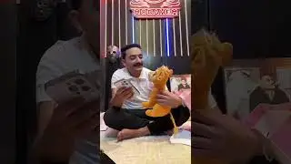 هديه حوده شيبه لمداهم