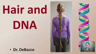 Hair and DNA