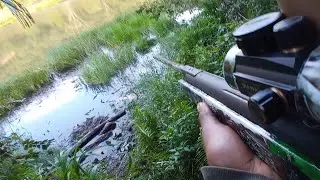CAÇADA AS CAIPIVARA NA LAGOA PASSO A PASSO.. ENCONTREI UMA ESPERA BOA DE CUTIA