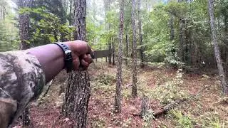 Pulling SD cards and refreshing minerals for deer season 2025 #2025deerseason #bigwoods #deerhunting