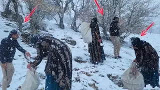 **Fighting the Snowstorm: Amir & Fatemeh’s Struggle for Survival in the Mountains**