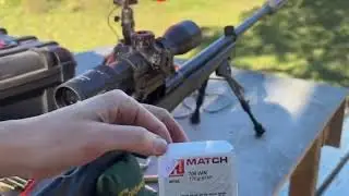 2000m / 2187.227 yards .308 win Factory ammo budget rifle 2 impacts.