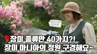 행복이 피어나는 장미 정원 속으로~ Into the Happy Rose Garden | 정원의 발견 Wonders of Garden | KBS제주20230609방송