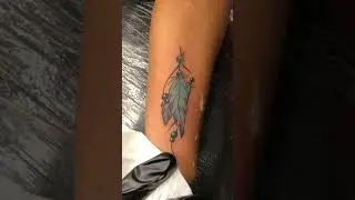 Feather 🪶 tattoo Color ink😊😍 #tattoo #tattoolover #trending #feathertattoo